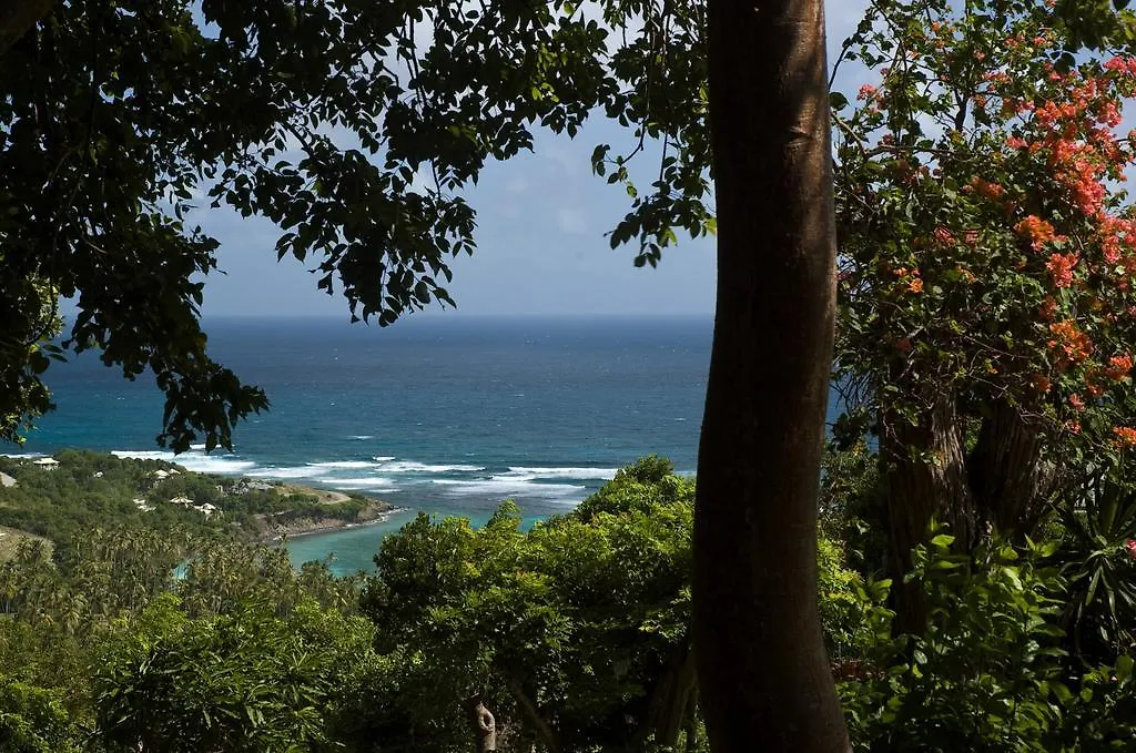 Lime House Villas Port Elizabeth Saint Vincent and the Grenadines